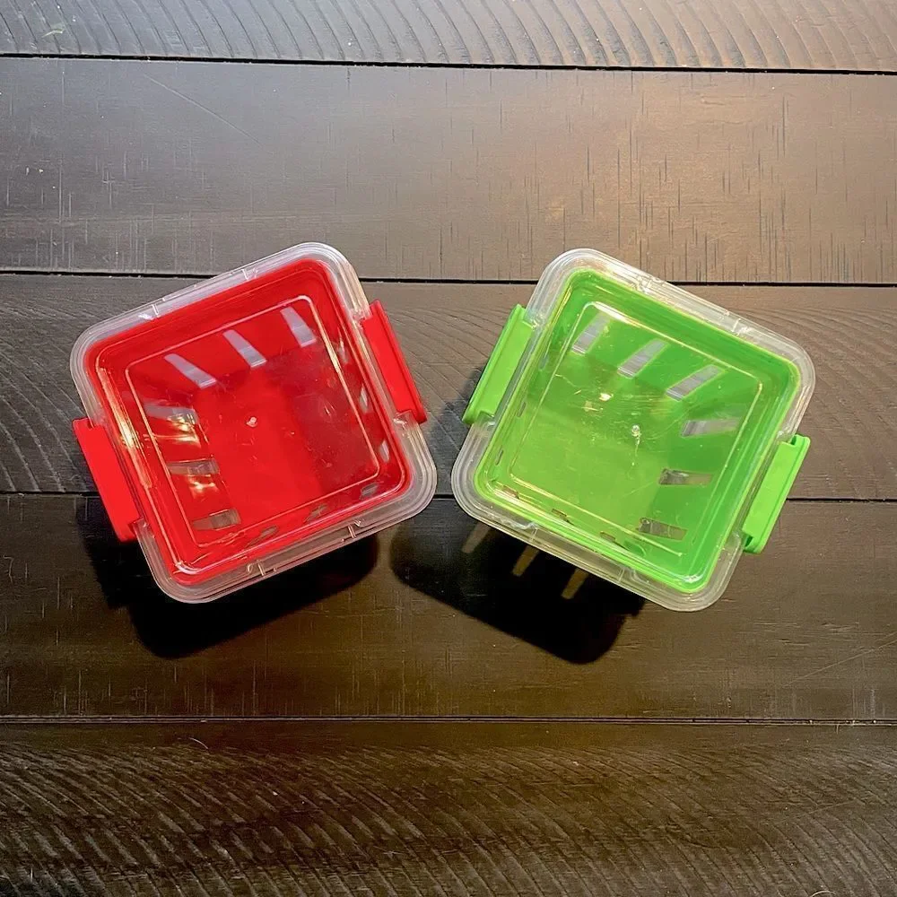 New! Cooking Concepts Berry & Veggie Colander/Basket & Storage Containers.